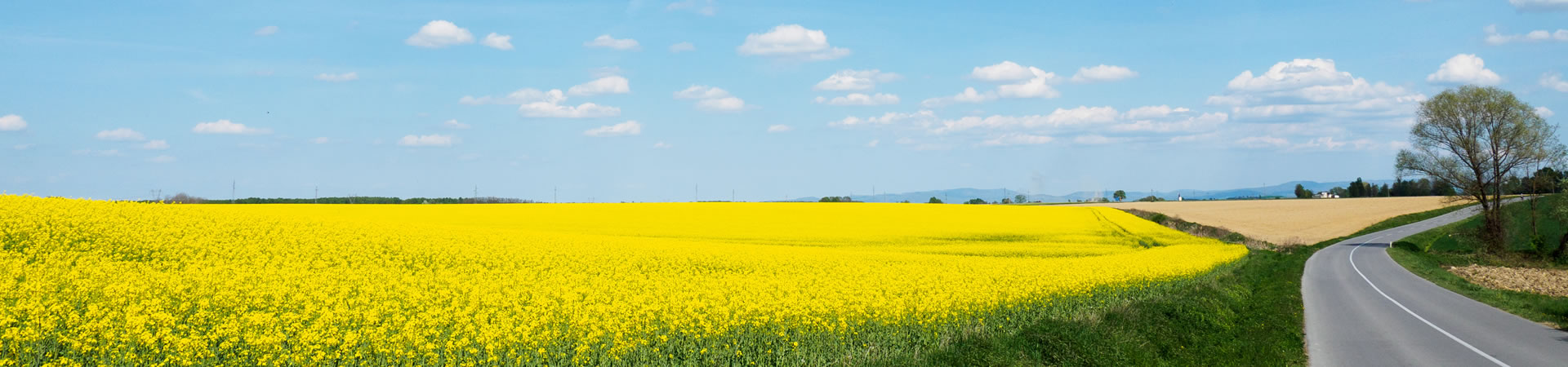 Datenschutz vsvi-sachsen.de